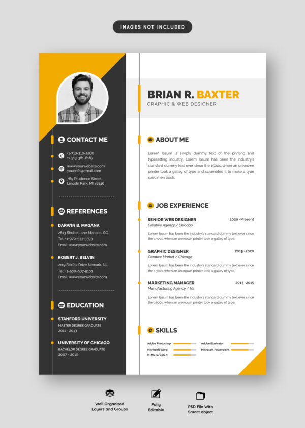 Professional CV Design